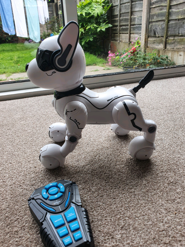 robot dog smyths
